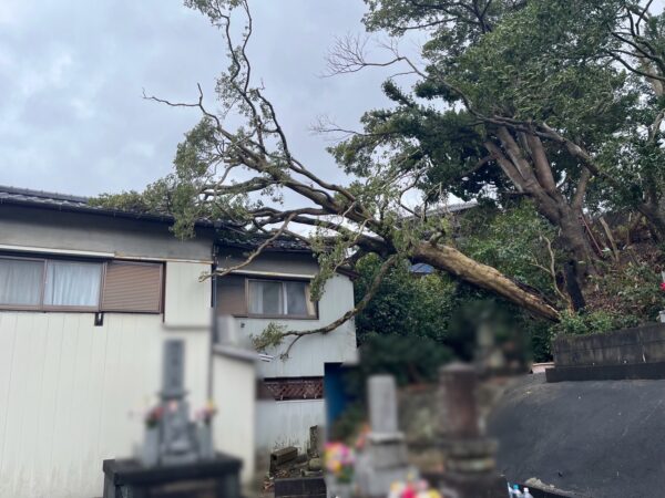 北九州市にて倒木の撤去作業